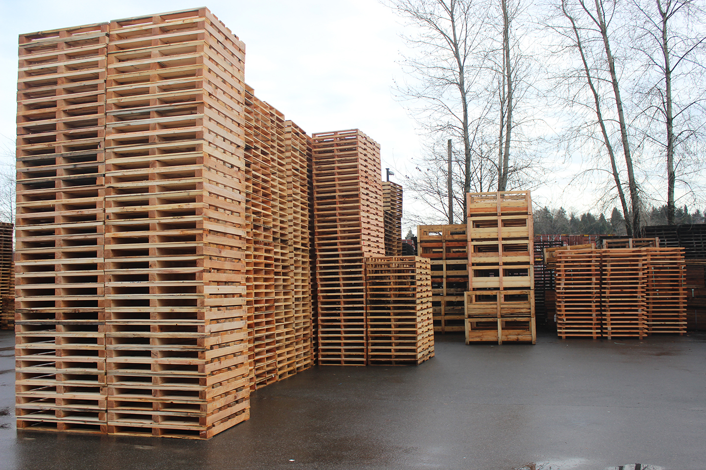Wooden Pallets for Sale Surrey, BC - Geo Pallet Ltd.