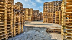 wood pallets for sale