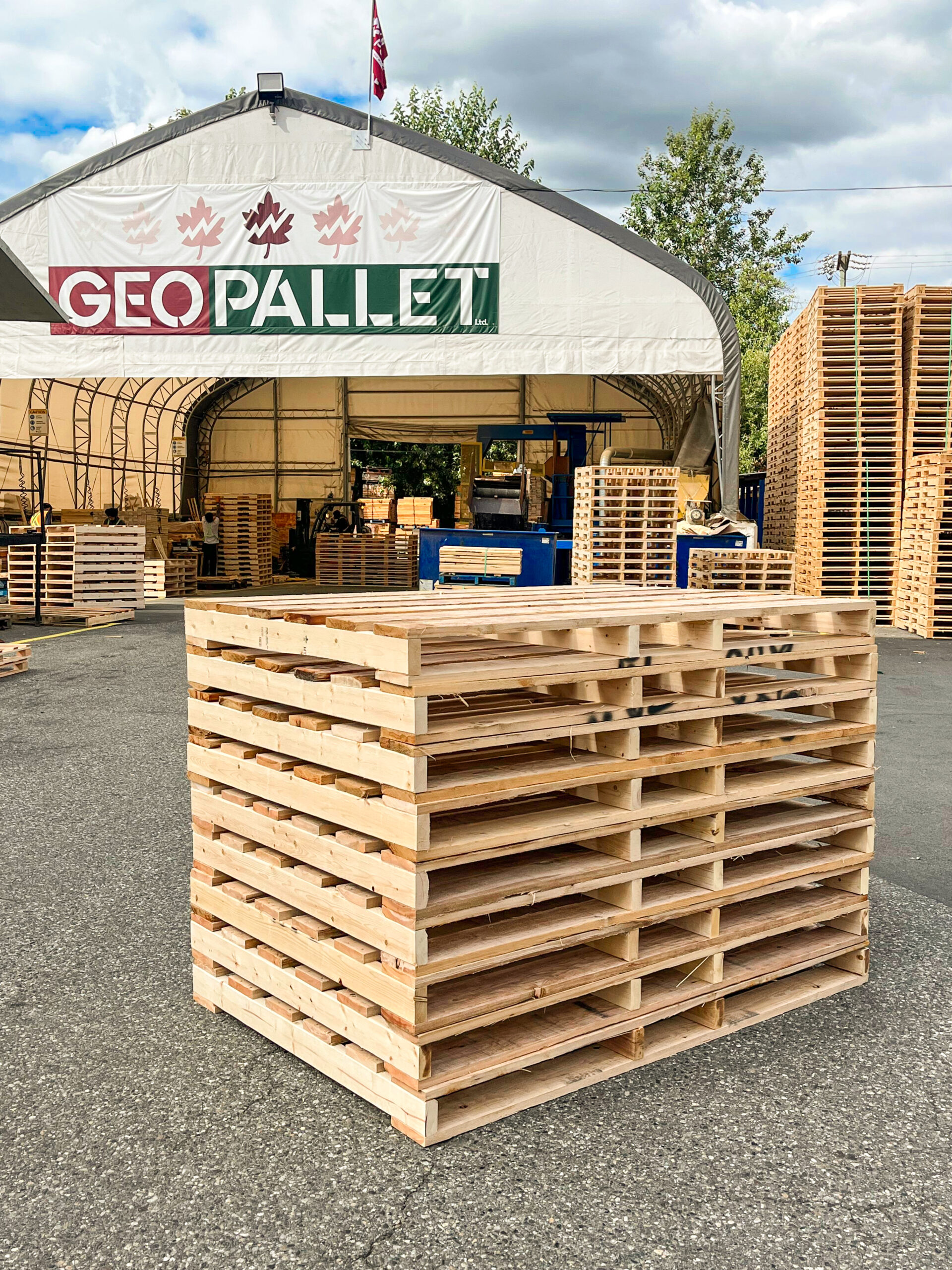 Why Geo Pallet Began