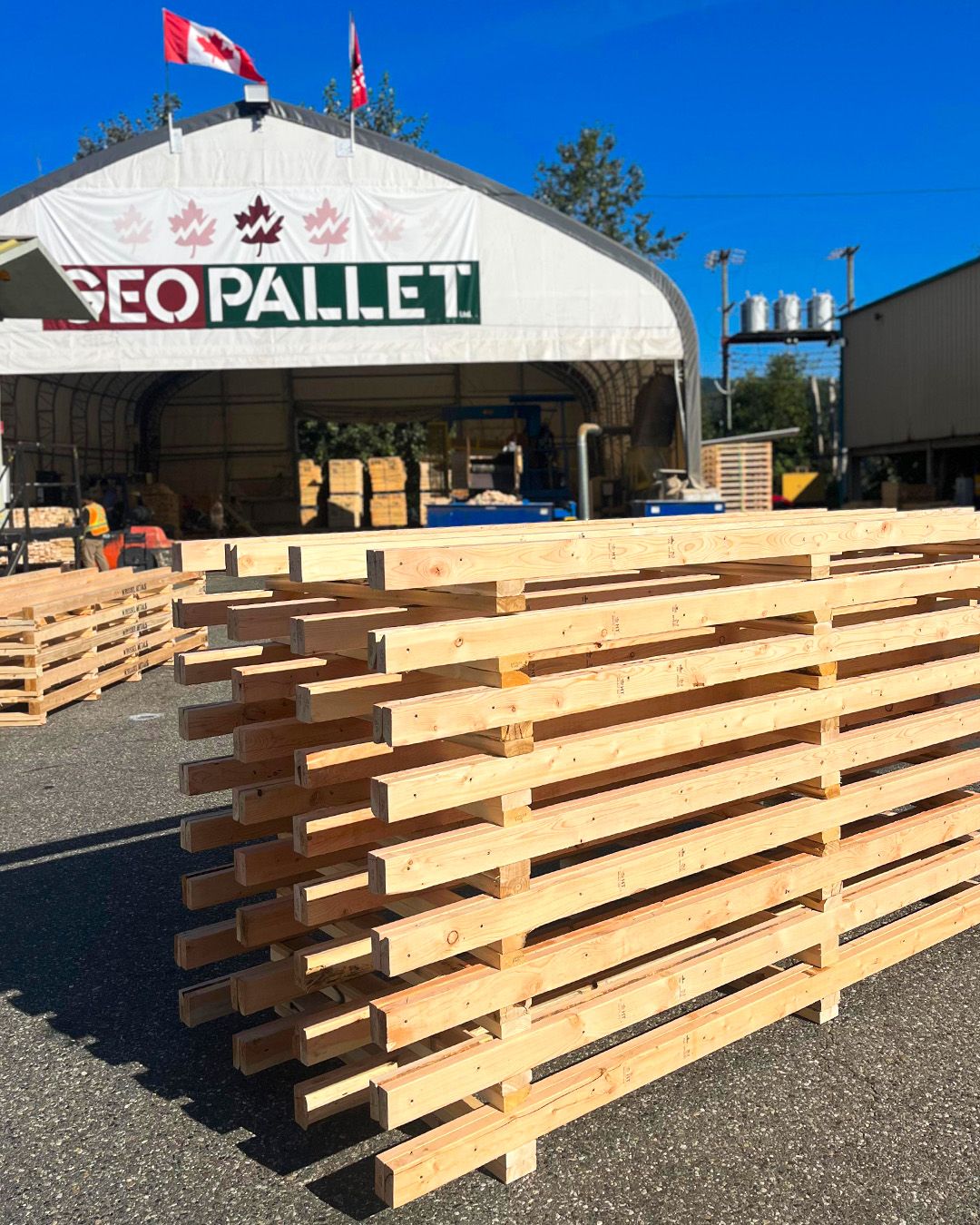 Bc Pallets Custom Pallets in British Columbia | Built for Your Load